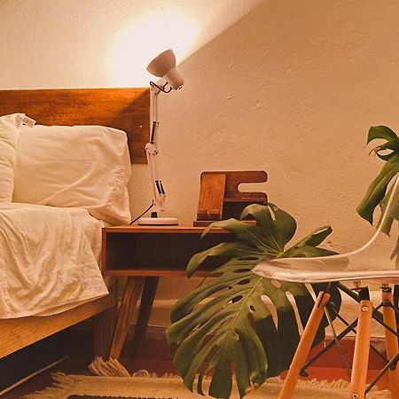 Ferienwohnung Botanic Downtown House Guanajuato Exterior foto