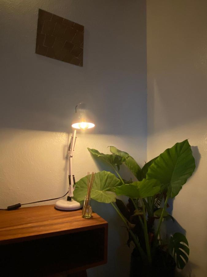 Ferienwohnung Botanic Downtown House Guanajuato Exterior foto