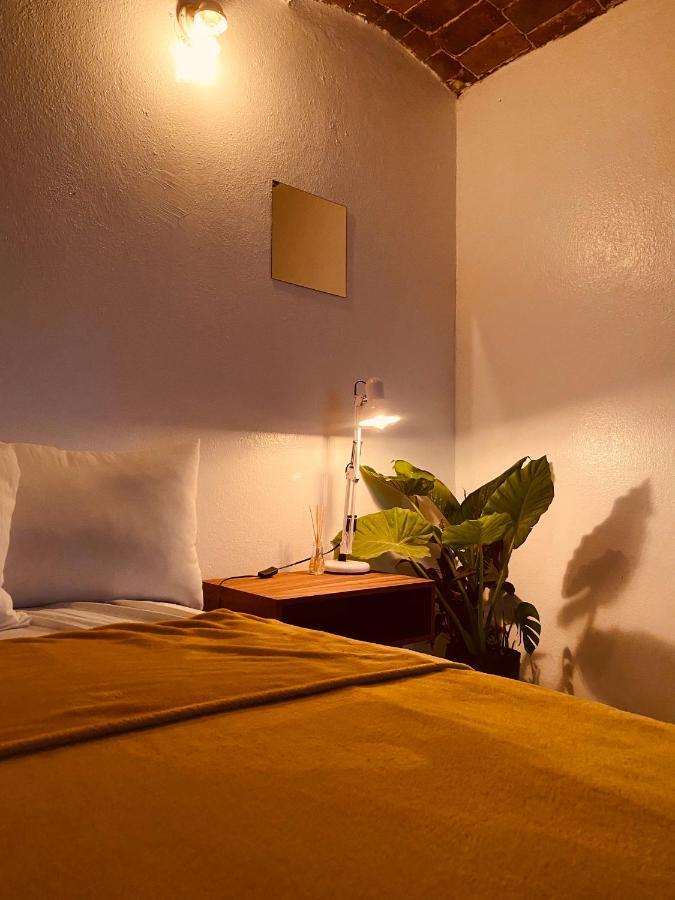 Ferienwohnung Botanic Downtown House Guanajuato Exterior foto