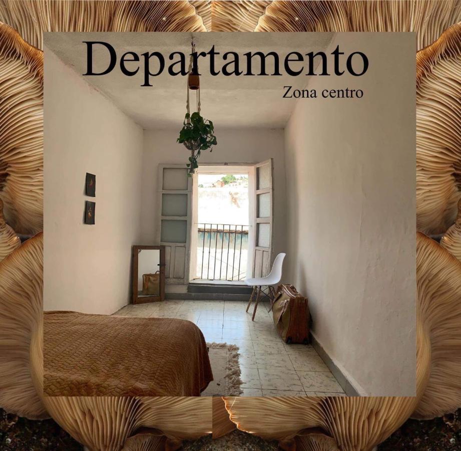 Ferienwohnung Botanic Downtown House Guanajuato Exterior foto