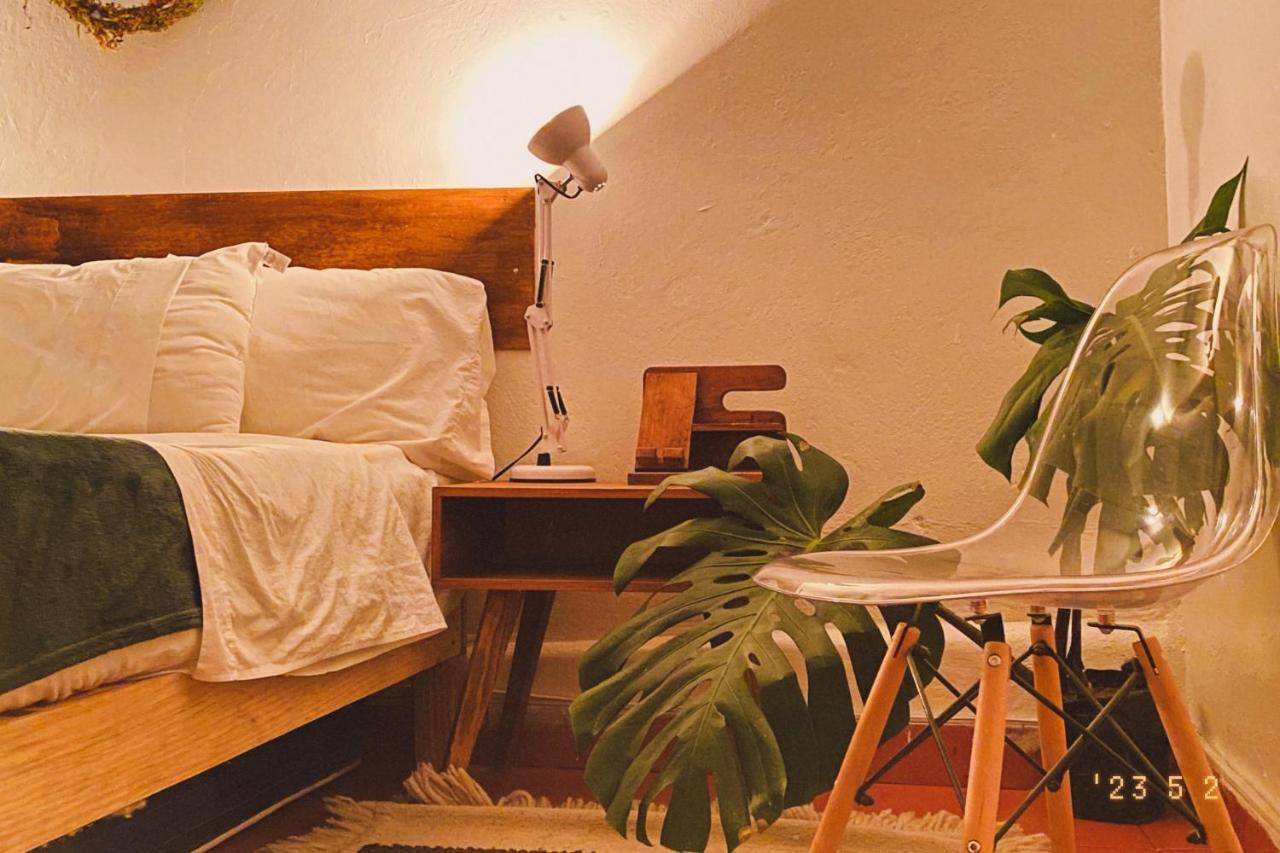 Ferienwohnung Botanic Downtown House Guanajuato Exterior foto